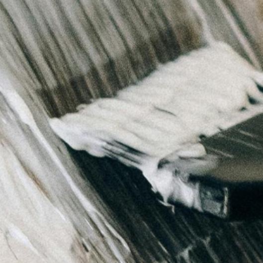 ⭐ Root Refresh Pass